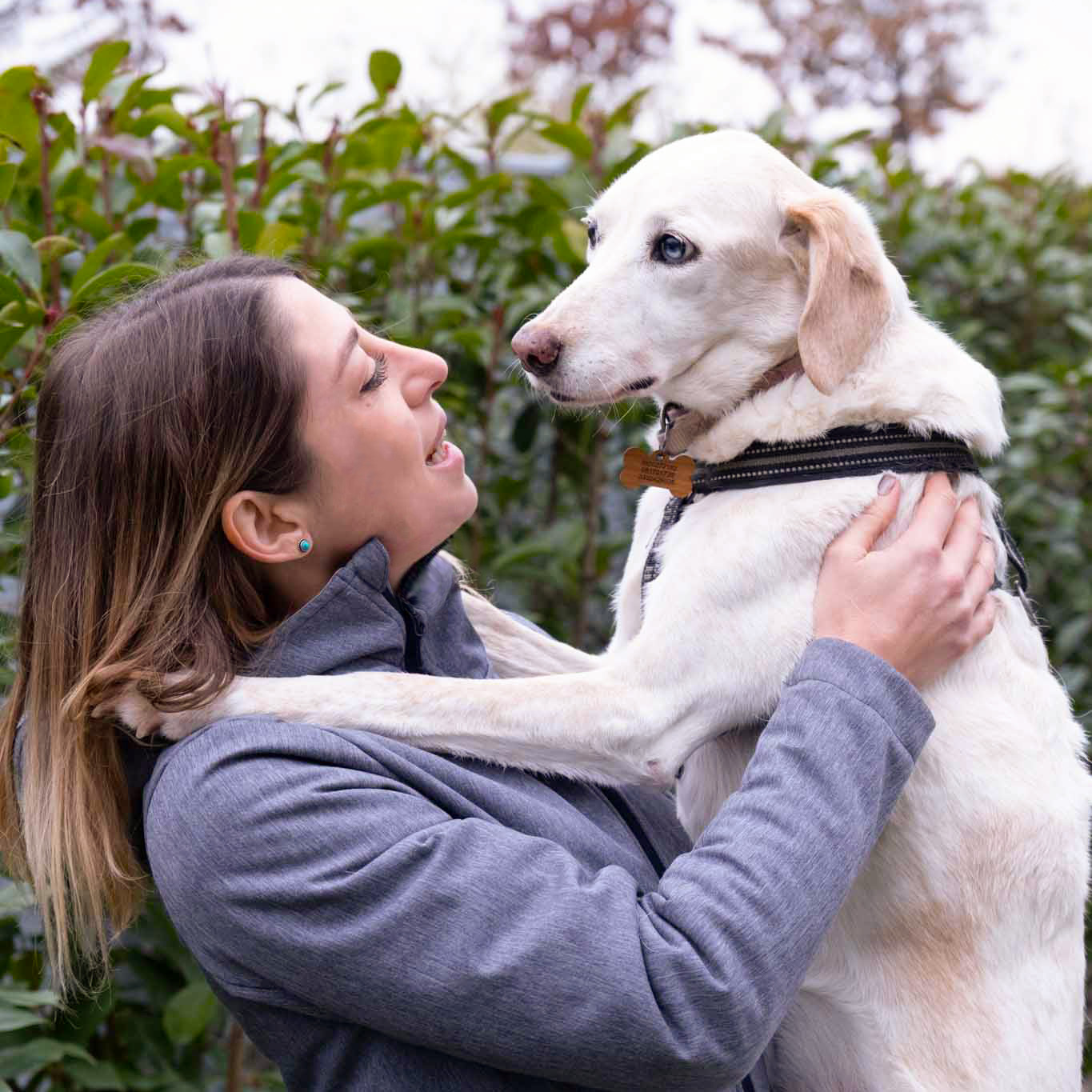 comunicazione social animali domestici